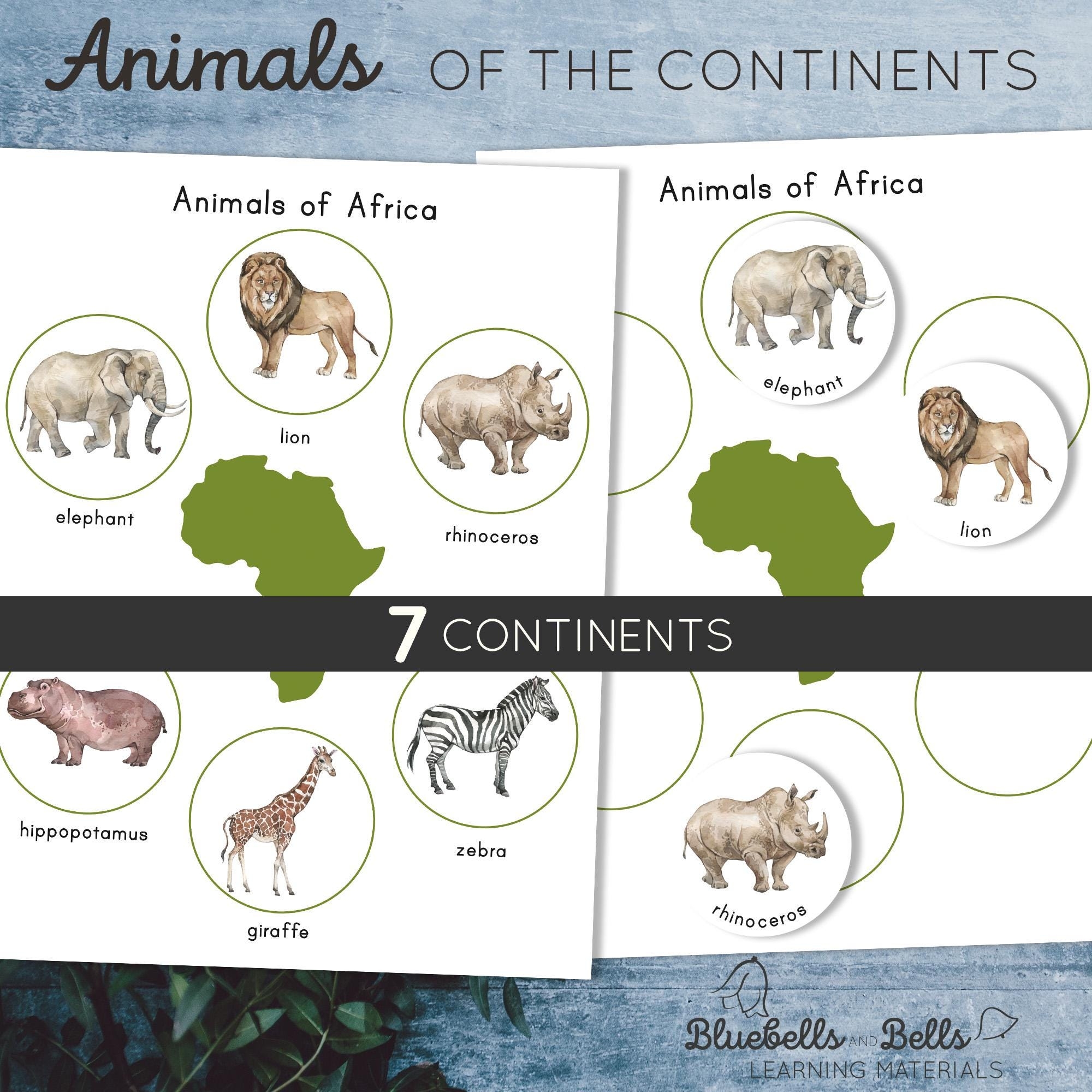 Animals Of The Continents Posters And Sorting Activity Montessori Printable Preschool And Kindergarten Geography Game Etsy New Zealand