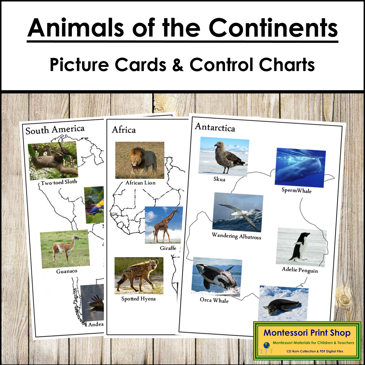 Printable Animals Continents Worksheet