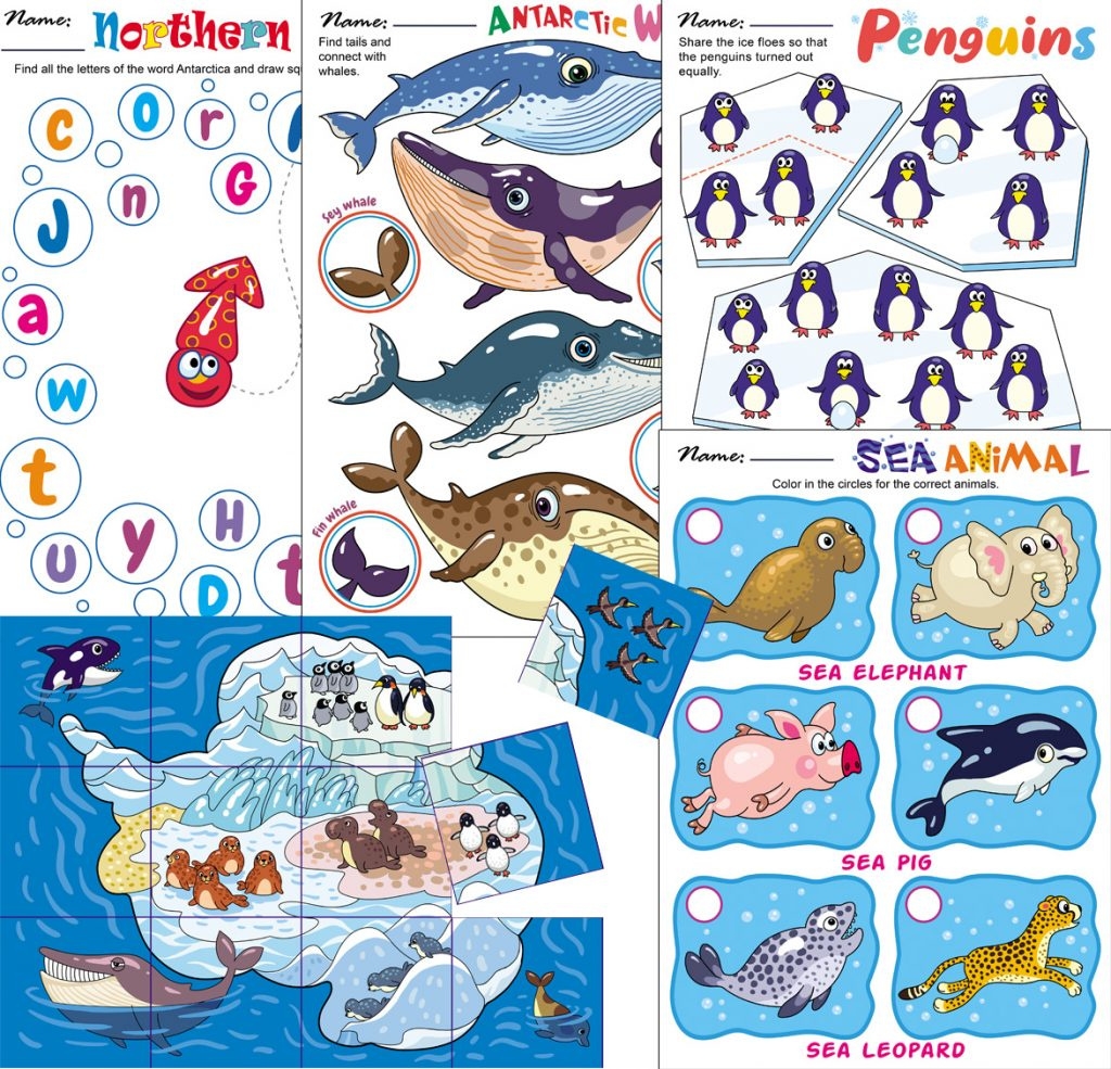 Antarctic Animals Worksheets TeachersMag