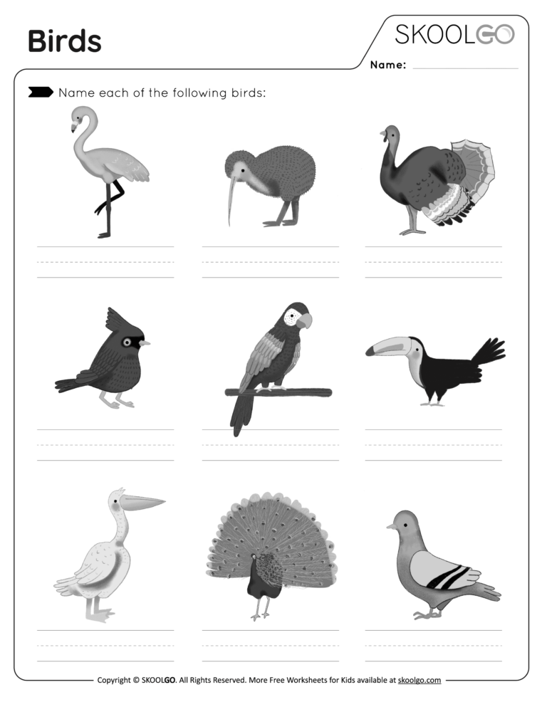 Birds Free Worksheet SKOOLGO