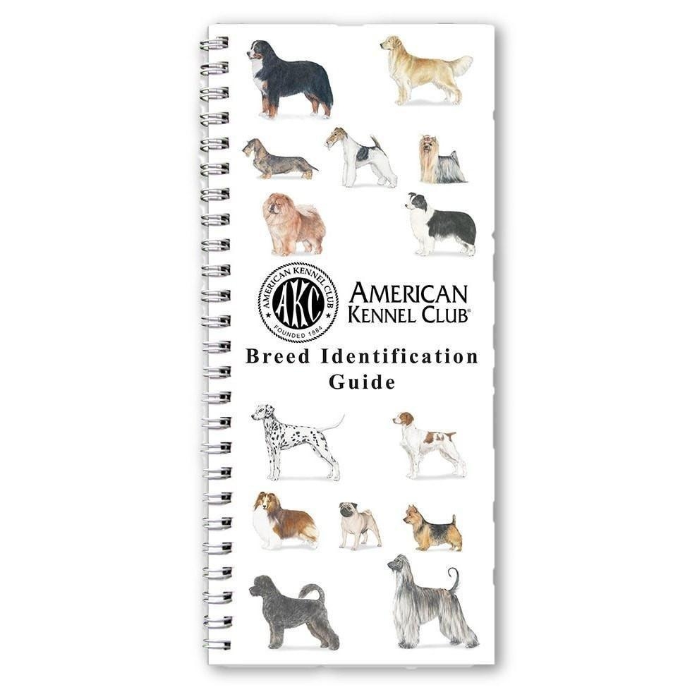 Breeds Chart Small Breed Dog Size Small Dogs Breed Bundle Png Ai Pdf Breeds Chart Small Breed Dog Size Small Dogs Breed Bundle Png Ai Pdf