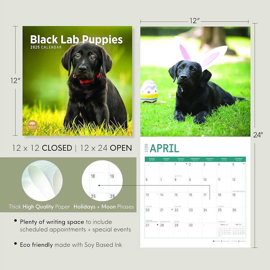 Calendar Labs Printable