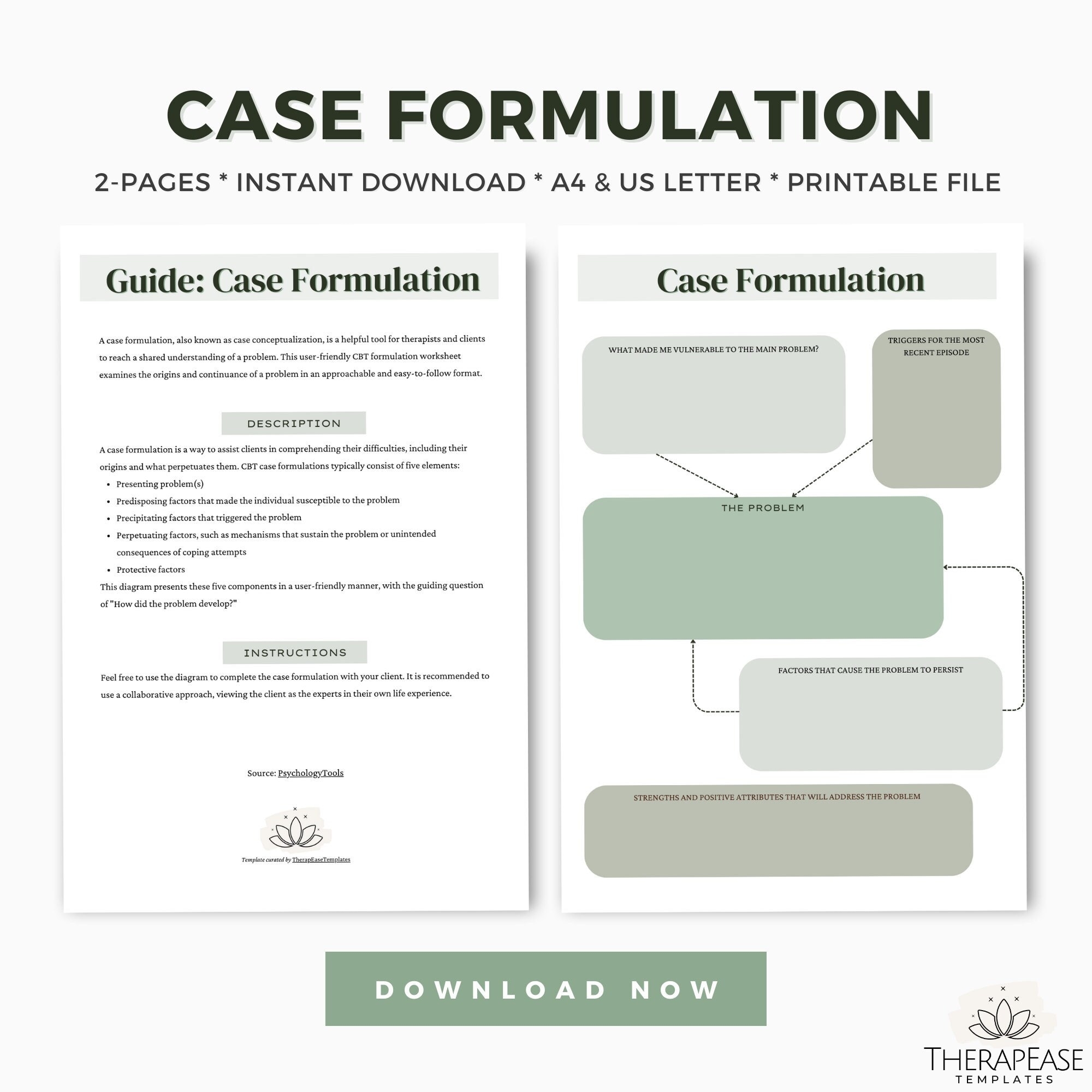 Case Formulation Worksheet Etsy