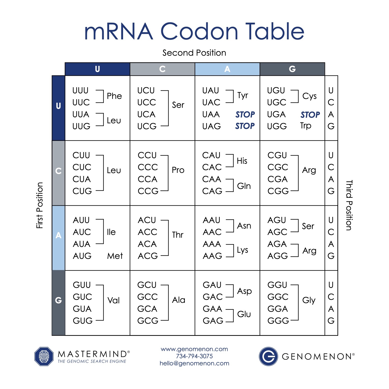 Codon Chart post form 