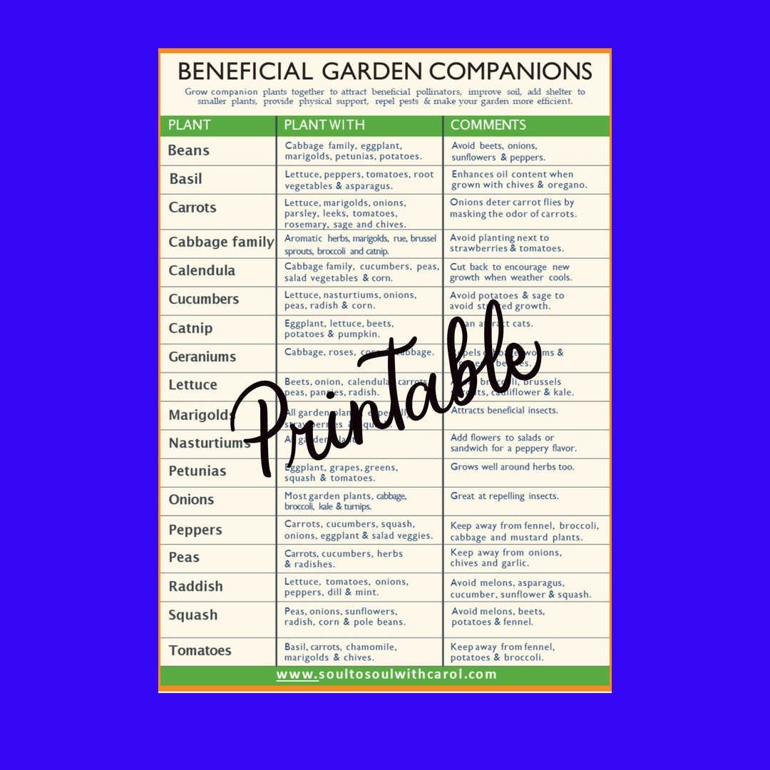 Companion Planting Guide Garden Printable PDF PNG Etsy