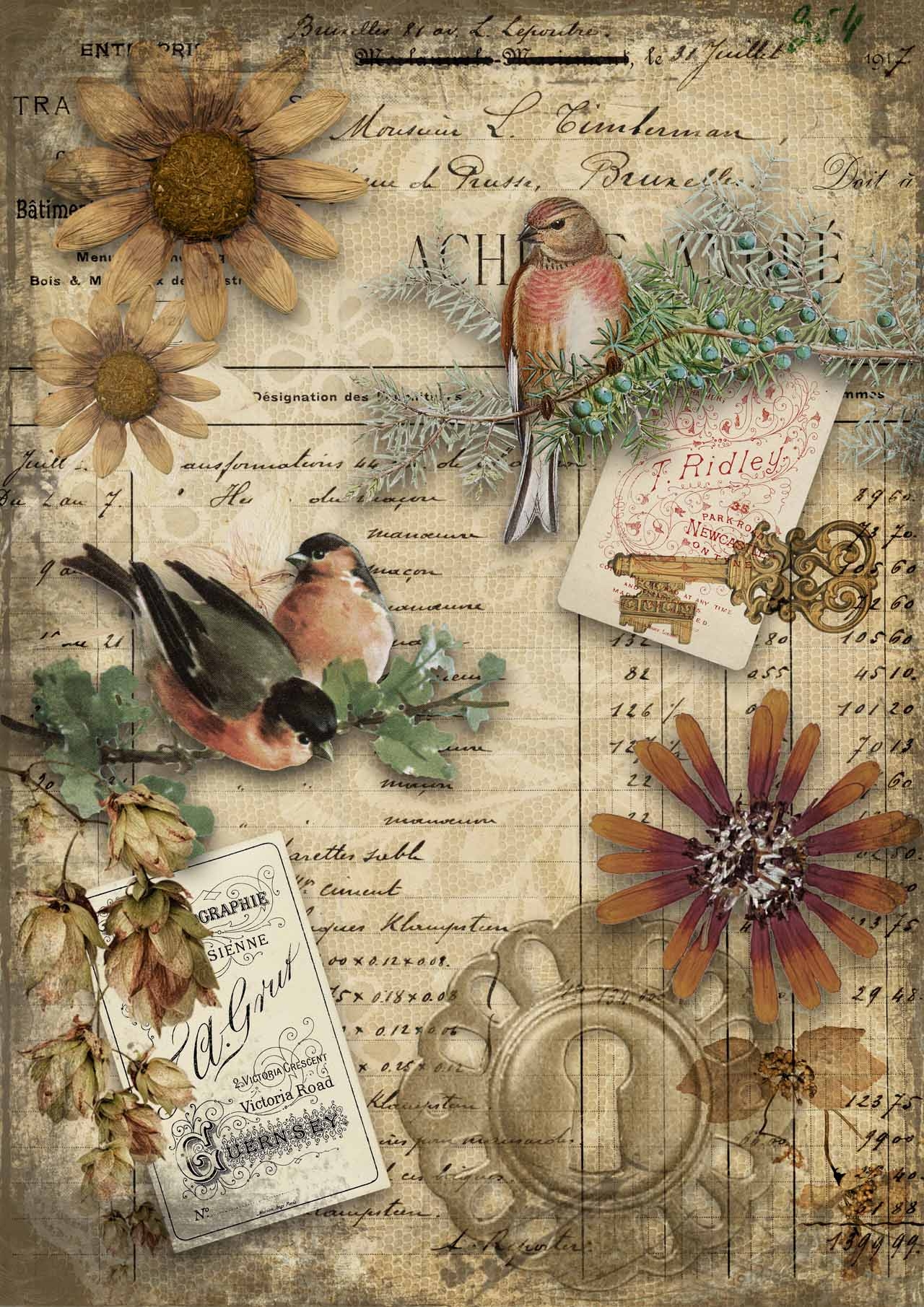 Decoupage Paper 148 Autumn Birds Scrappy s Rustics