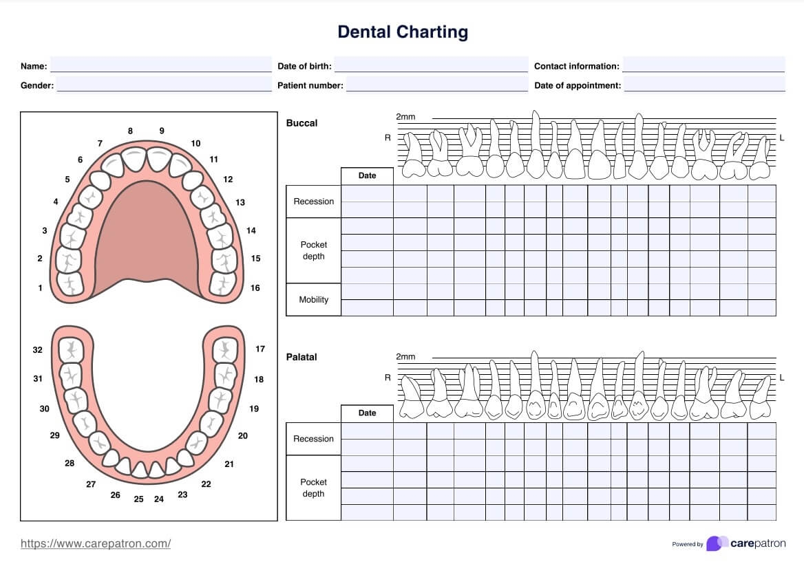 Printable Periodontal Chart