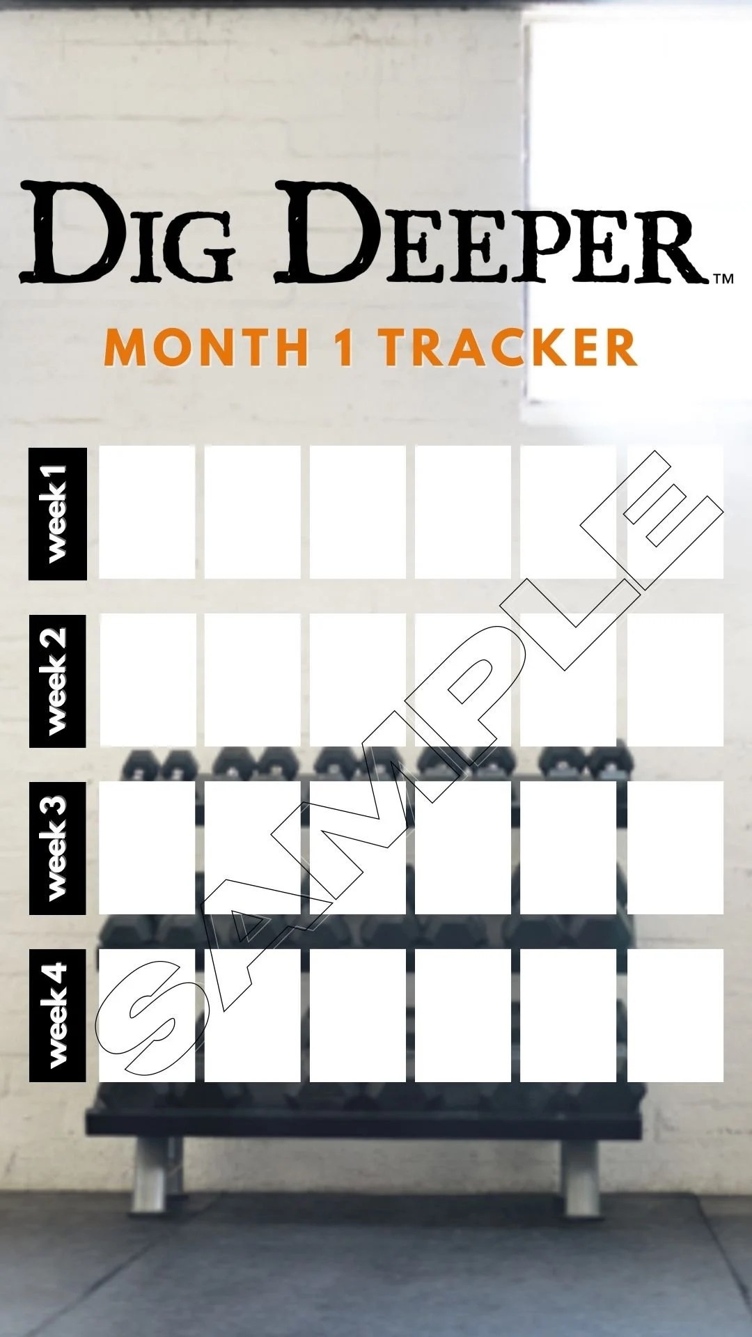 Dig Deeper Shaun T Calendar Productivity Calendar Template Dig Deeper Shaun T Calendar Productivity Calendar Template