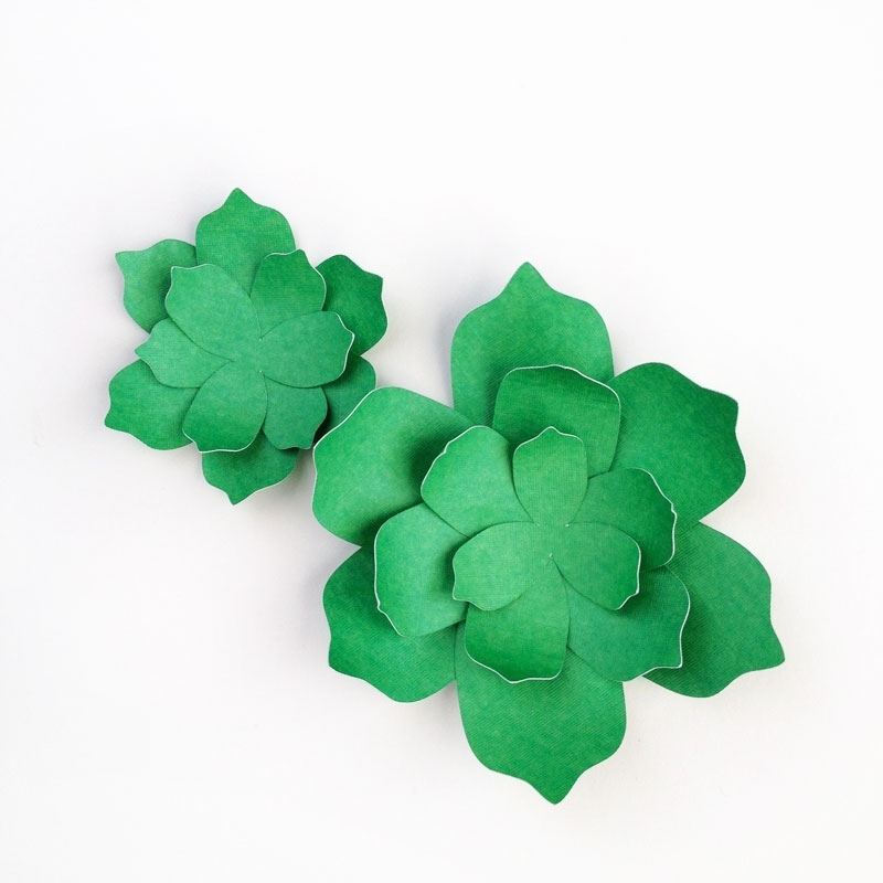 DIY Paper Succulents Maritza Lisa