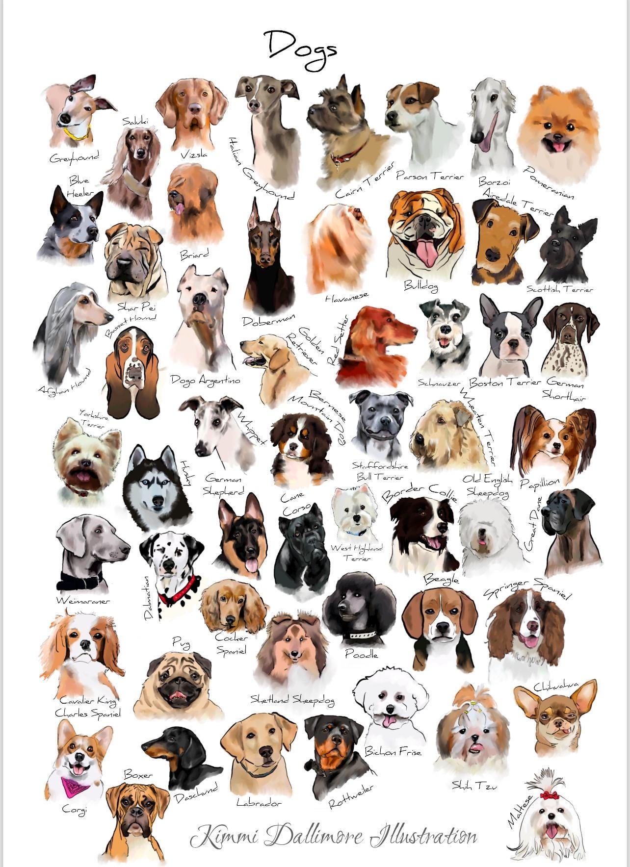Dog Breed Illustration Art Print Dog Varieties Wall Chart Etsy Dog Breed Illustration Art Print Dog Varieties Wall Chart Etsy