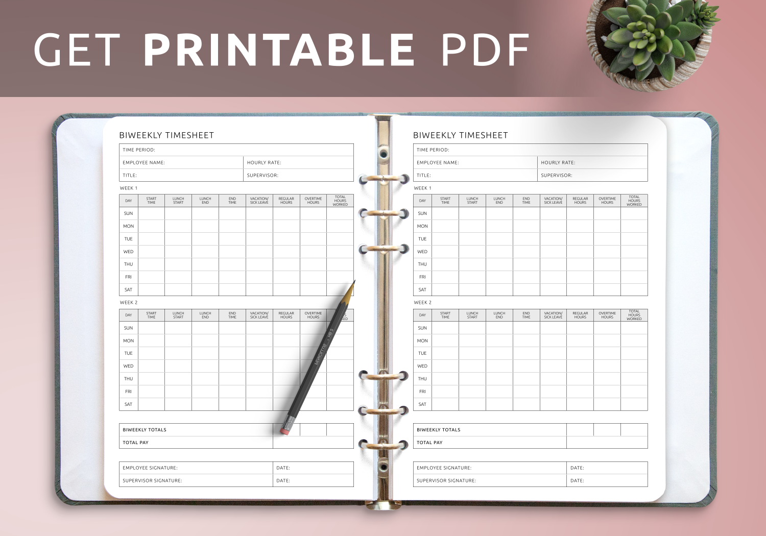 Download Printable Biweekly Timesheet Template PDF