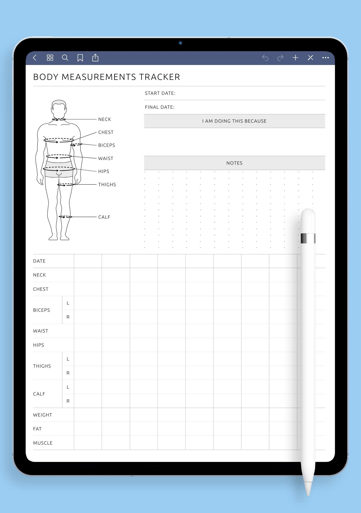 Download Printable Body Measurement Tracker Male PDF