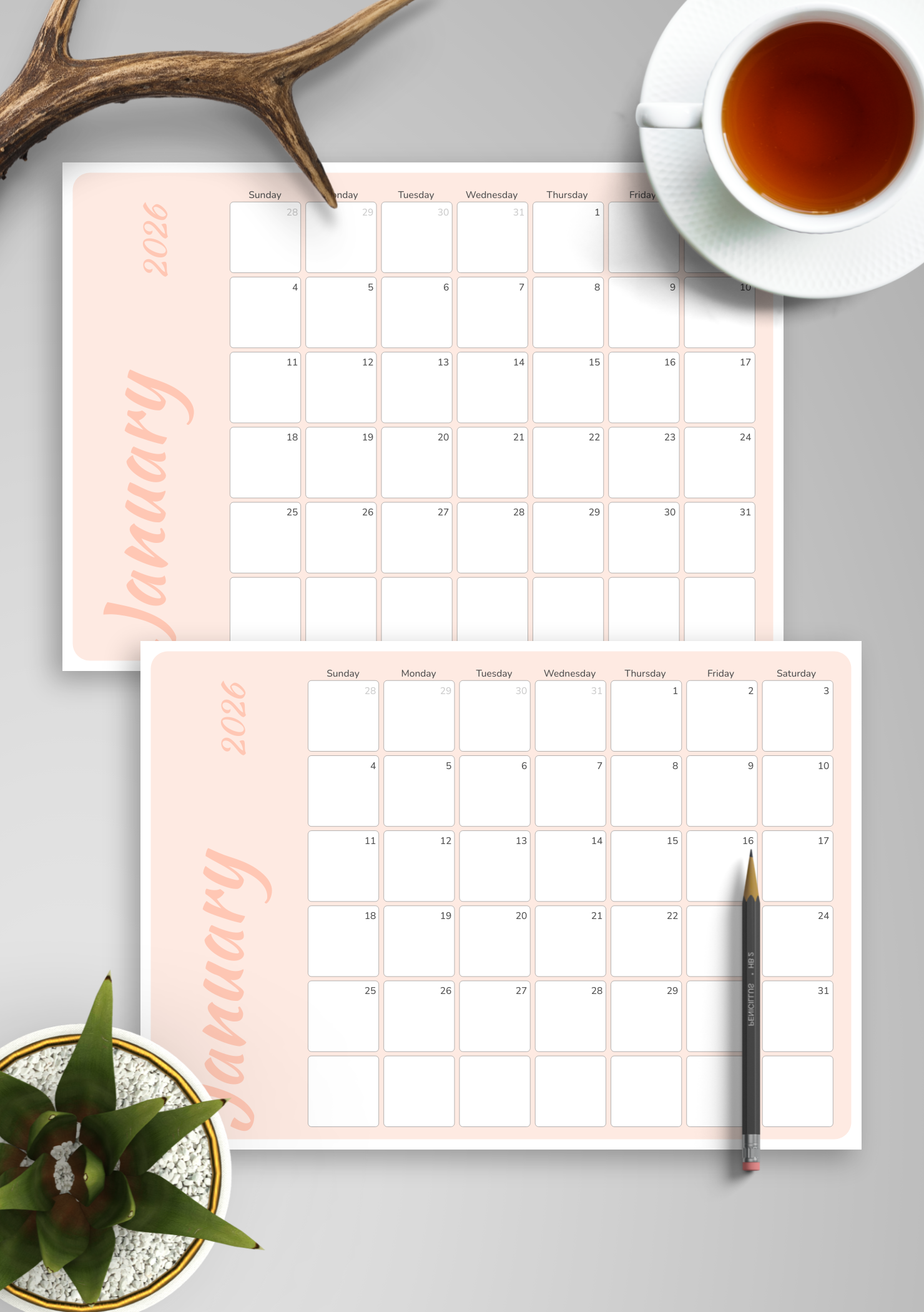 Download Printable Colored Pink Monthly Calendar PDF