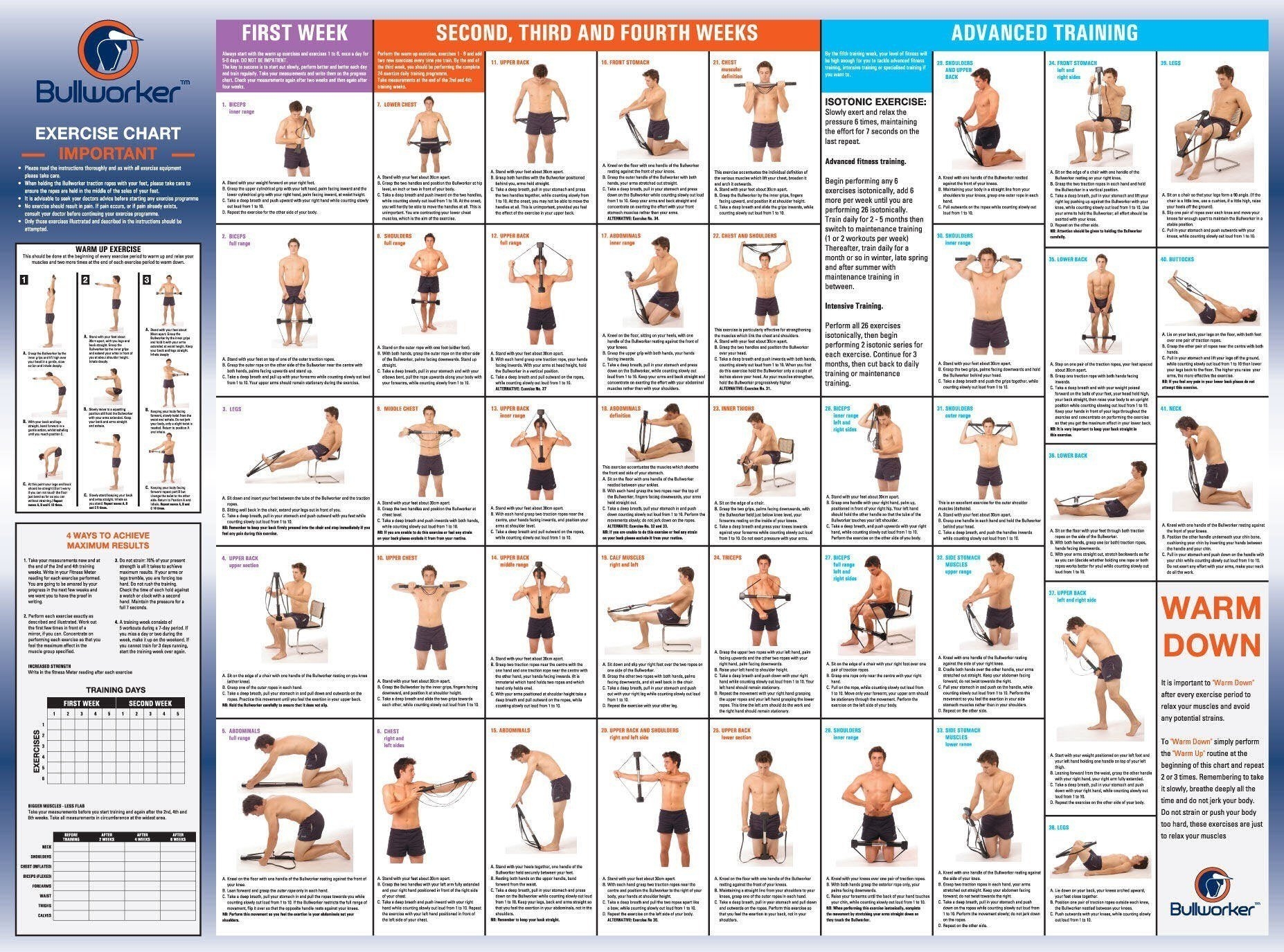 Download Vintage Bullworker Wallcharts Nick Litten IBM I AS400 ISeries Software Developer