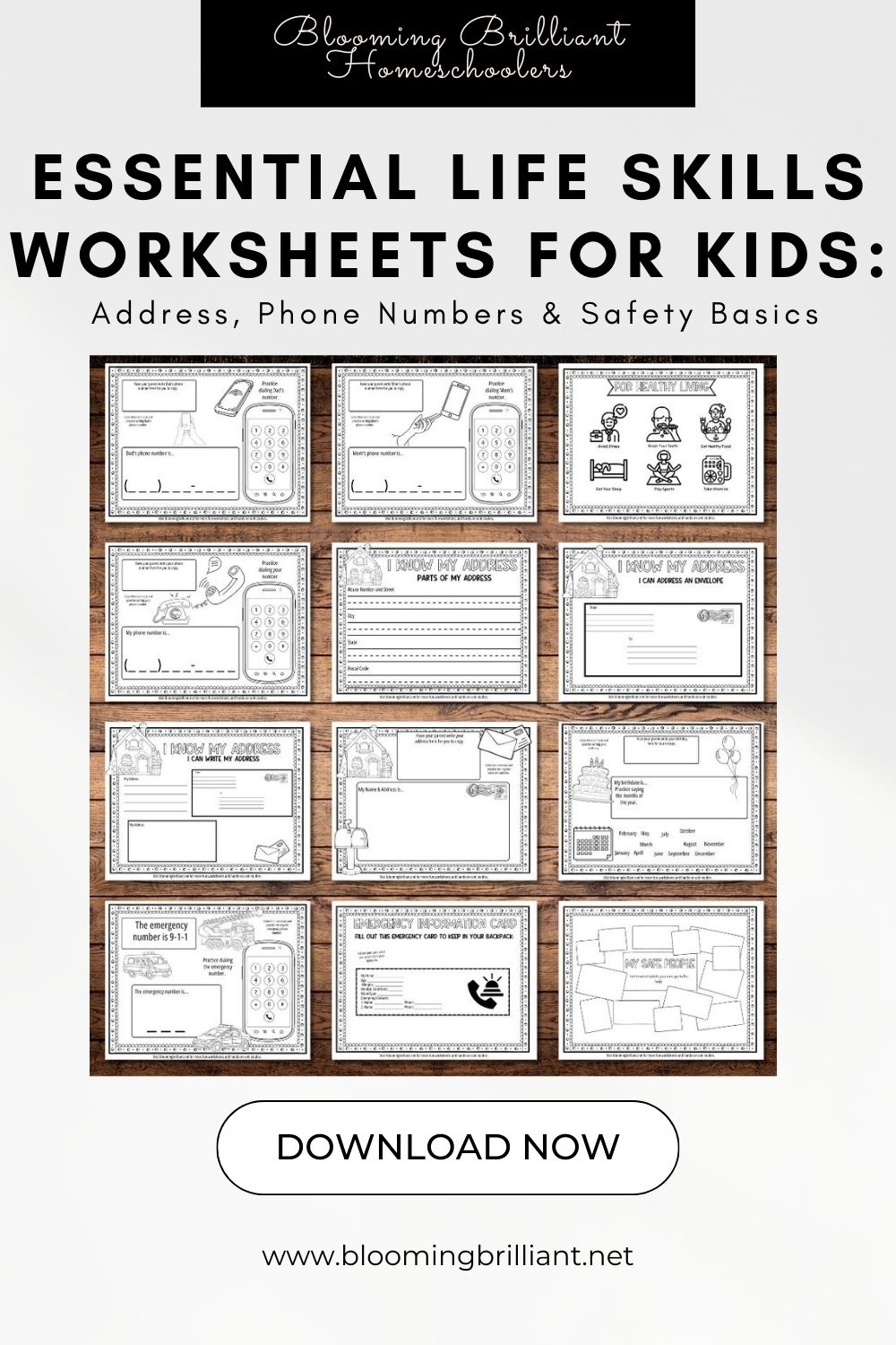Life Skills Printable Worksheets