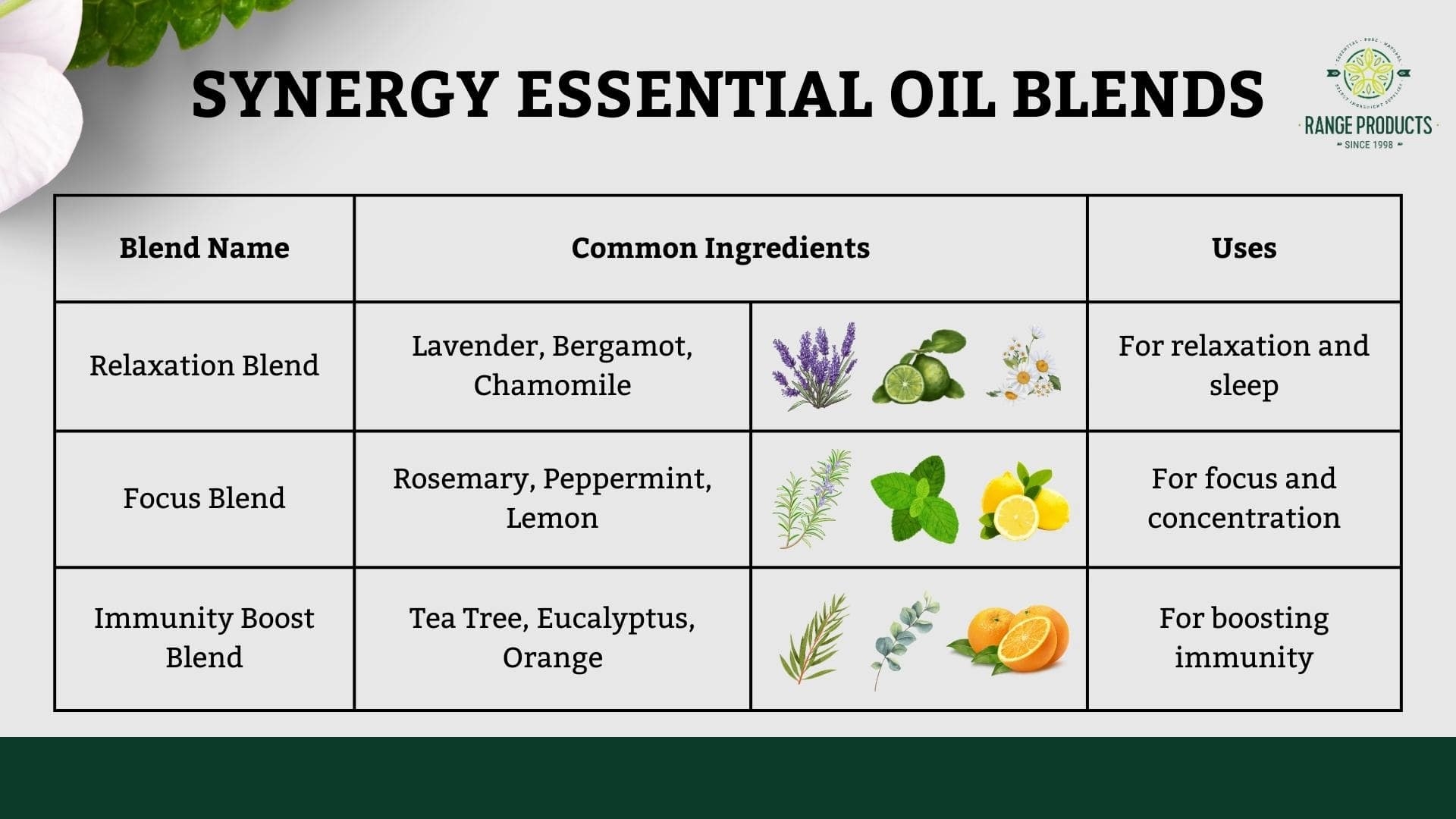Essential Oils List Benefits And Uses Chart Range Products Worksheets Library