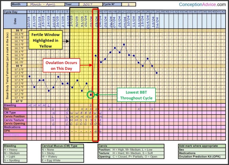 Fertility Charting Fertile Window Calculator Conception Advice