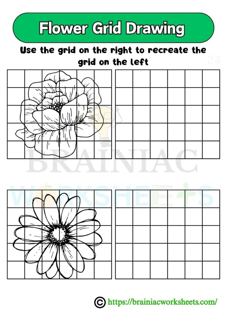 Flower Grid Drawing Worksheet Class 5 Brainiac Worksheets