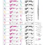 Flute Fingering Chart With Color coded Notes Learn Flute Technique Suitable For All Levels Made In The USA Etsy UK