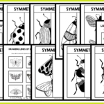 Free 12 Page Symmetry Art Worksheets Party In The Art Room