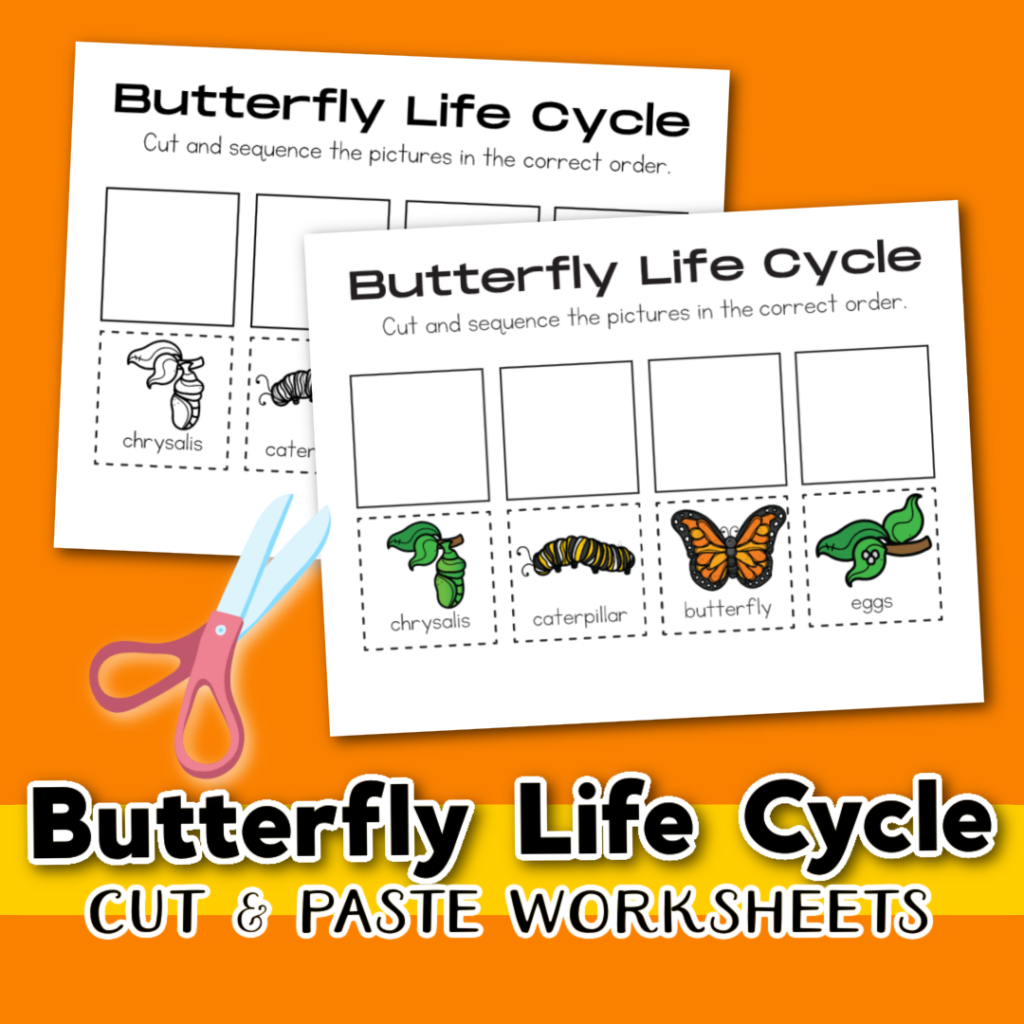 Free Butterfly Life Cycle Worksheet