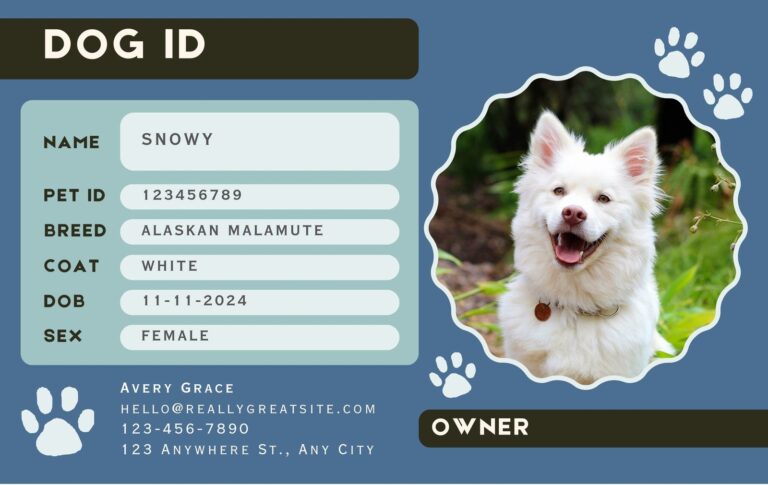 Free Custom Printable Dog ID Card Templates Canva