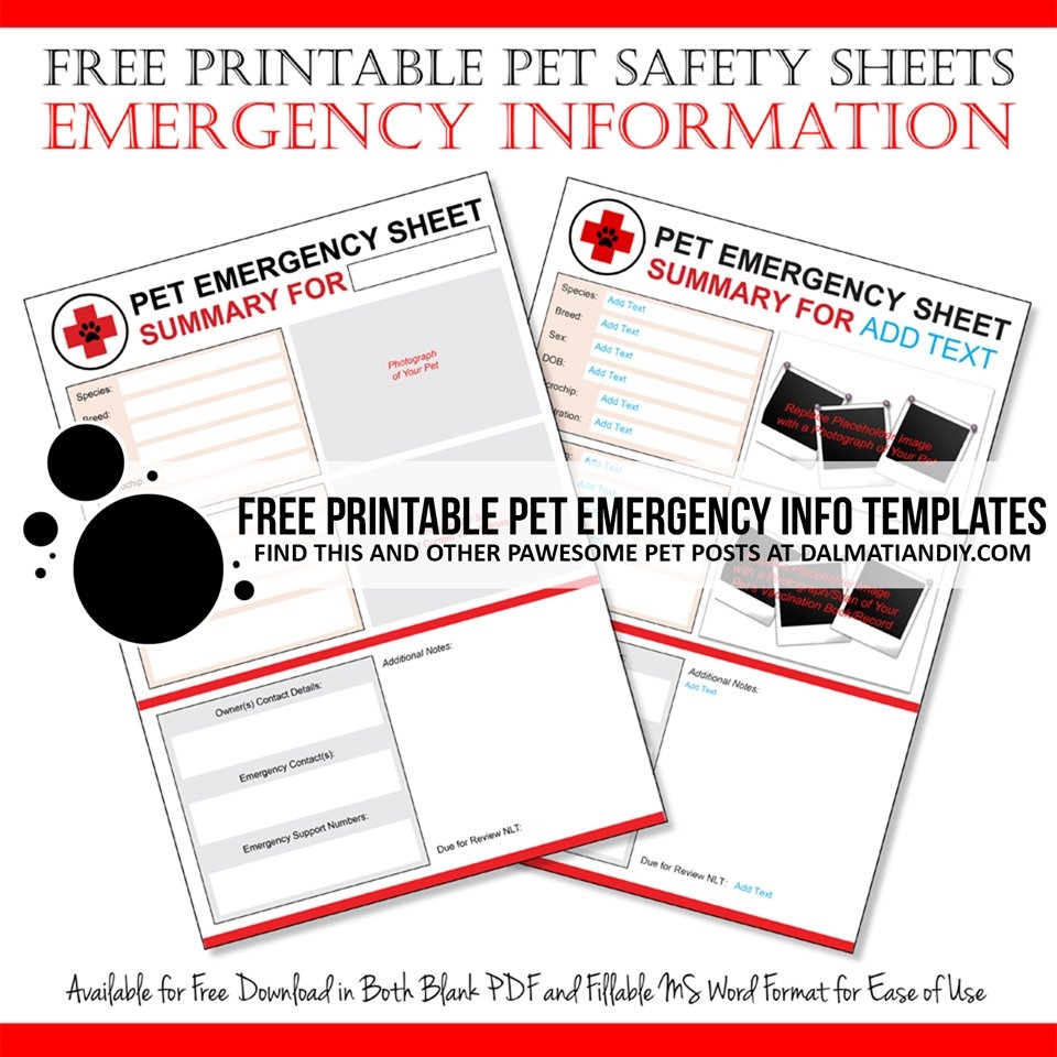 Free Pet Information Sheet Printables Dalmatian DIY