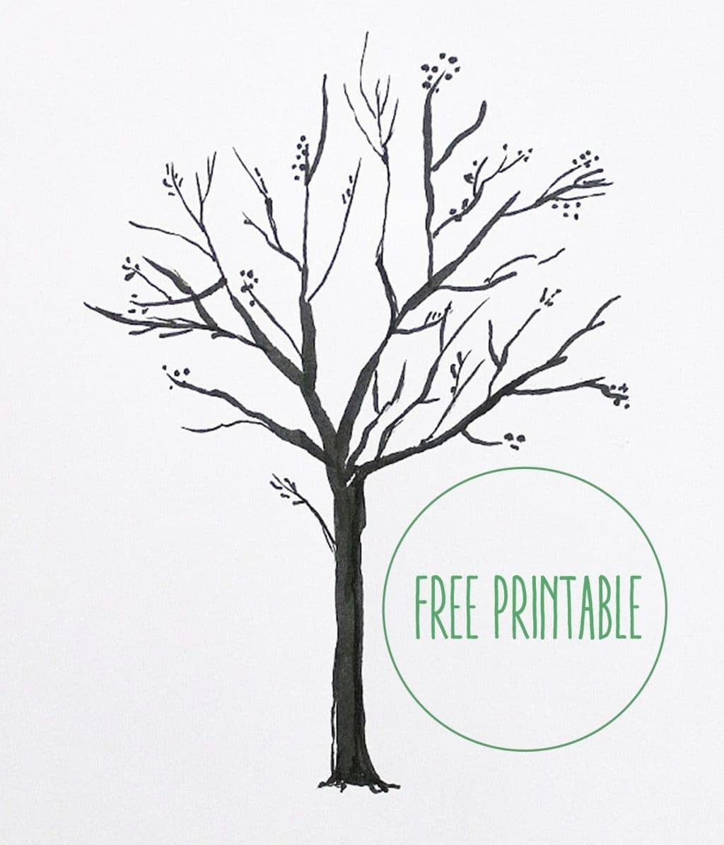 Free Printable Blank Family Tree Chris Loves Julia
