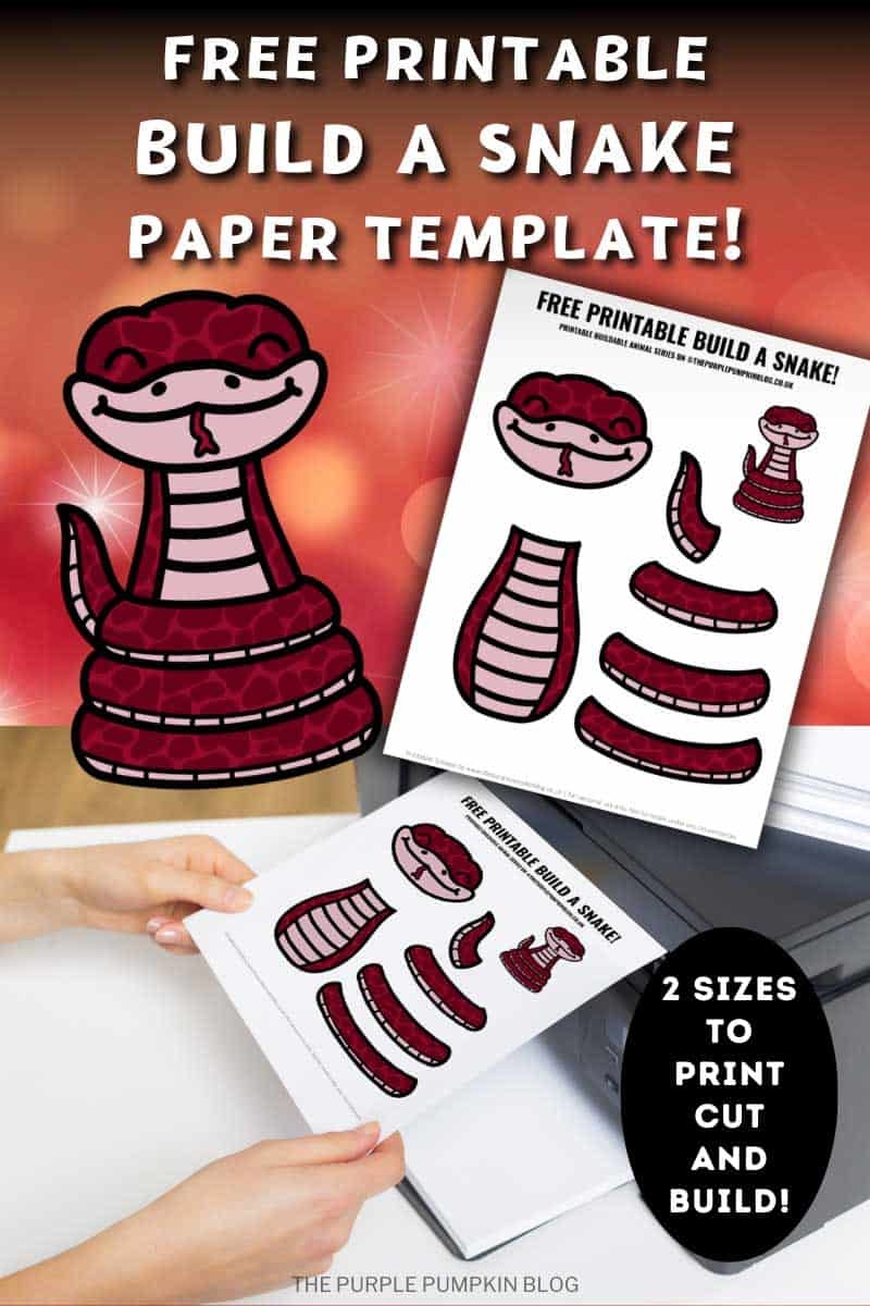 Free Printable Build A Snake Craft Template For Chinese New Year