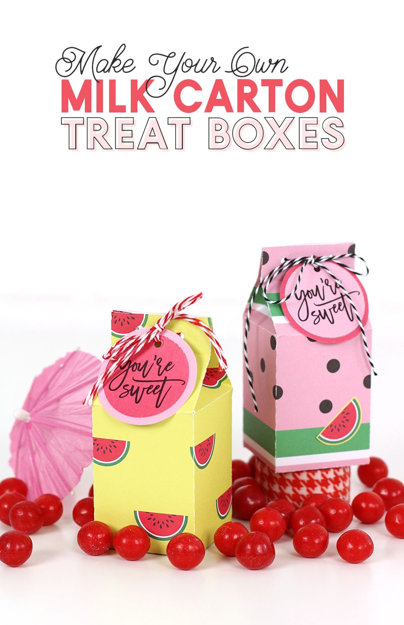 Free Printable Milk Carton Treat Box Template And Cut File 