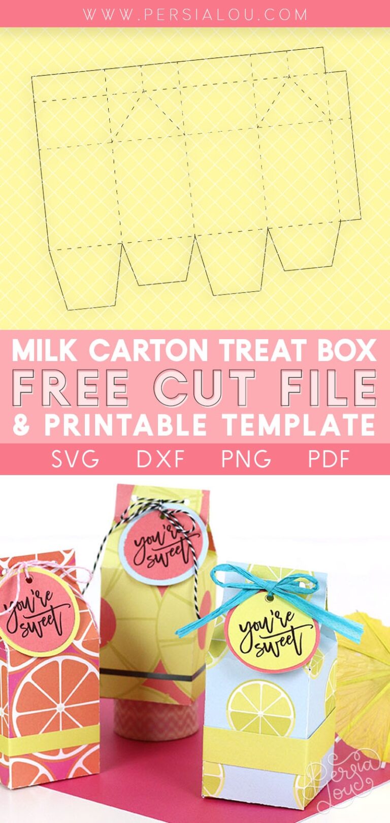 Free Printable Milk Carton Treat Box Template And Cut File 
