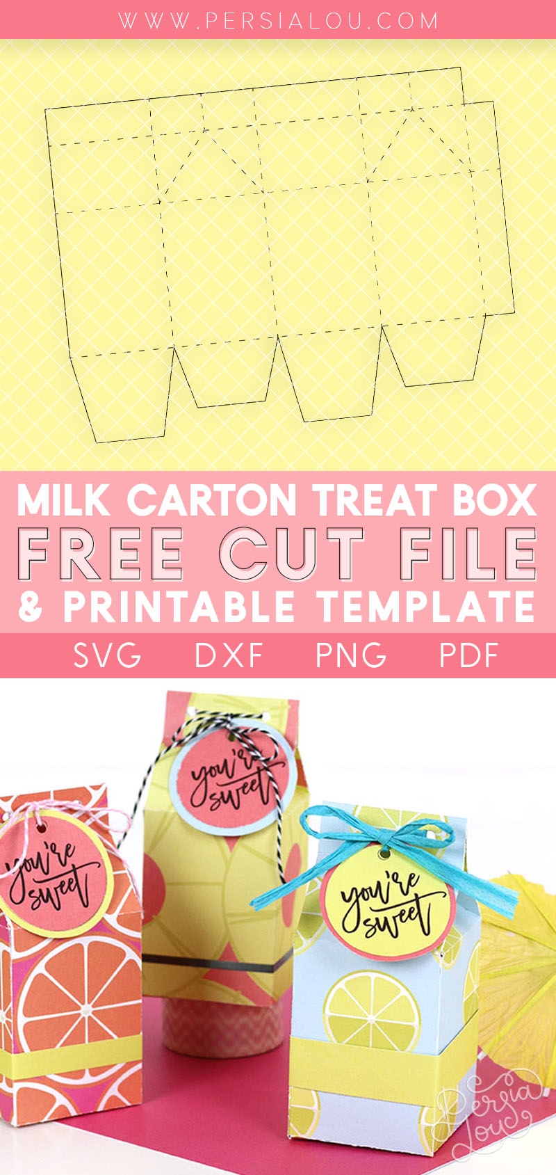 Free Printable Milk Carton Treat Box Template And Cut File