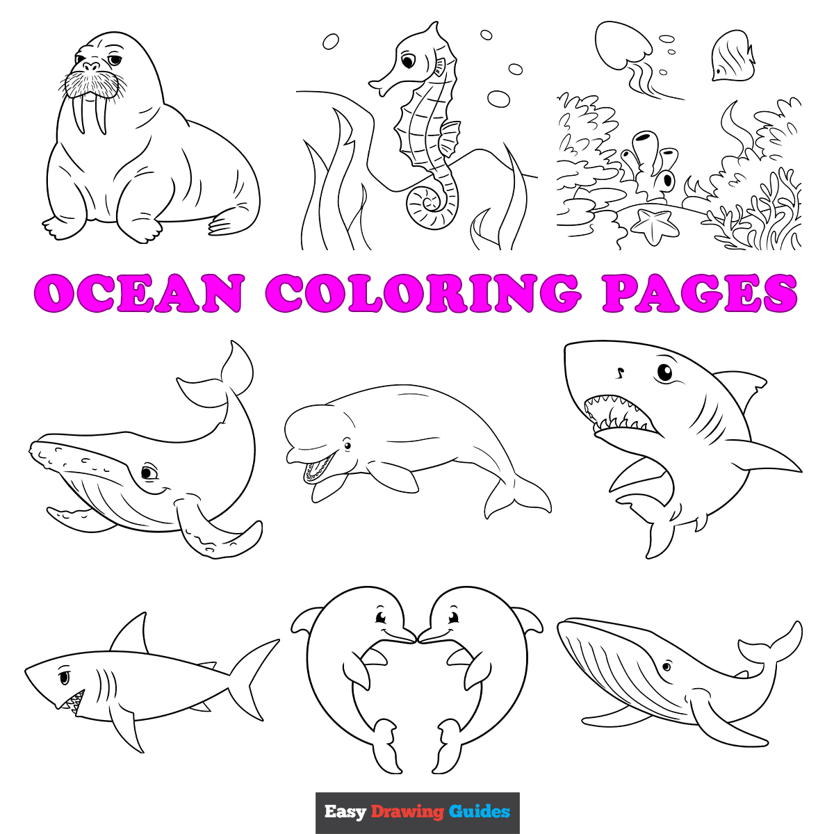 Free Printable Ocean Animal Templates