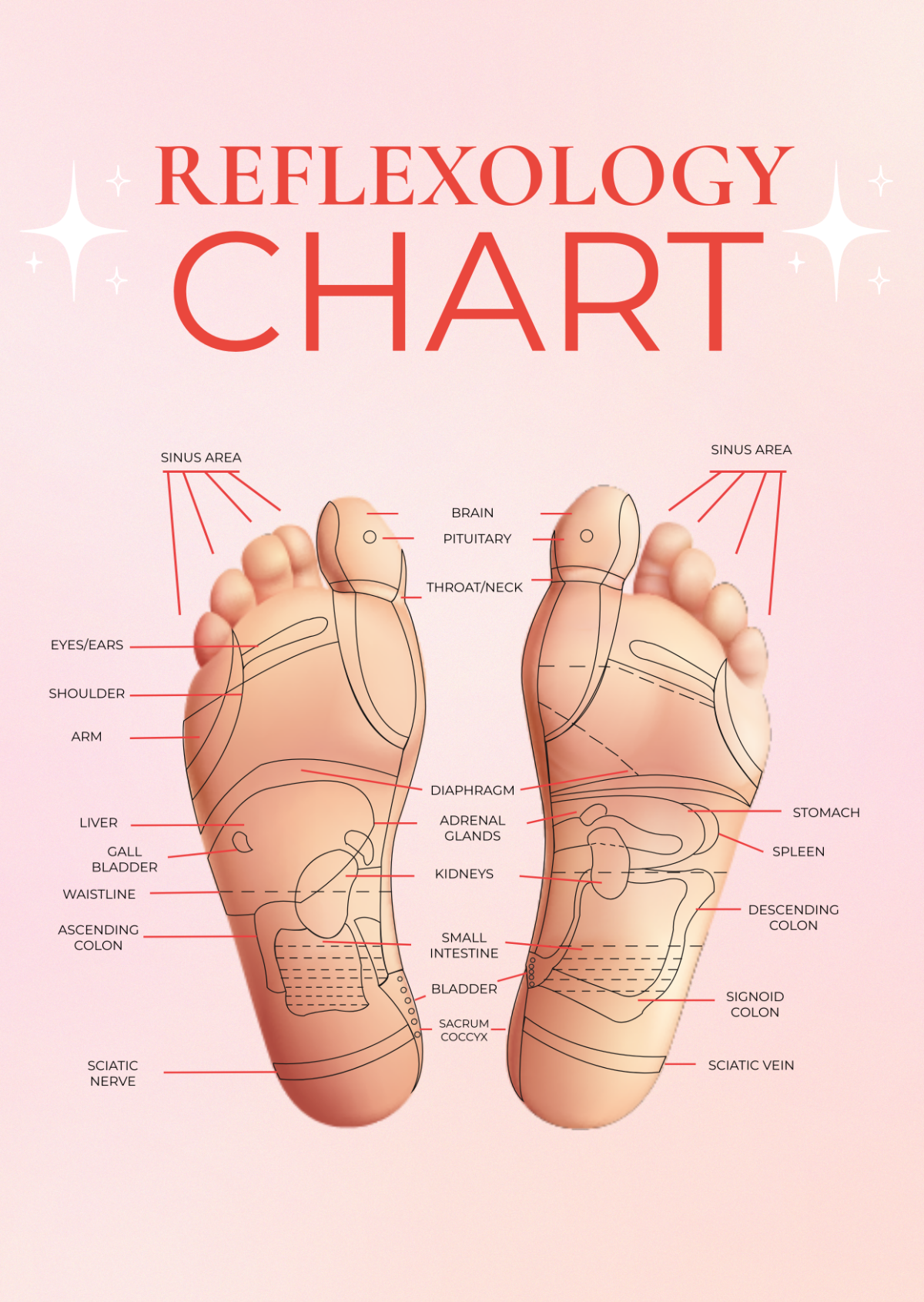 Free Reflexology Chart Templates Editable And Printable