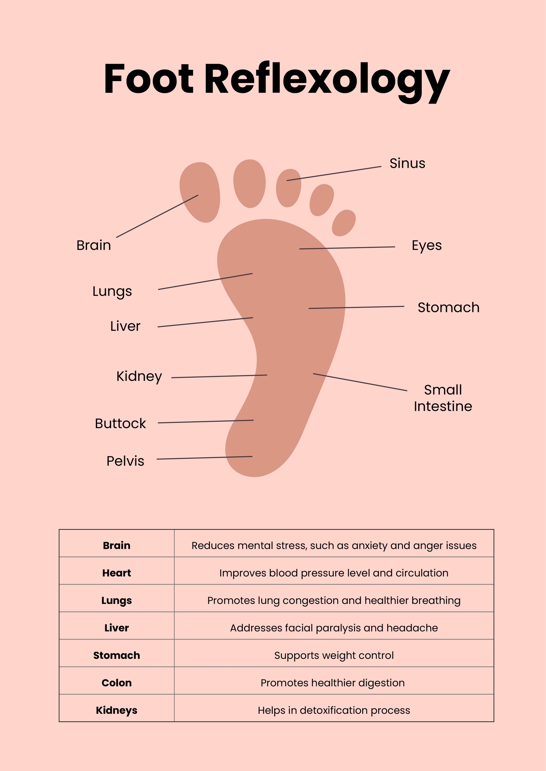 Free Reflexology Chart Templates Editable And Printable