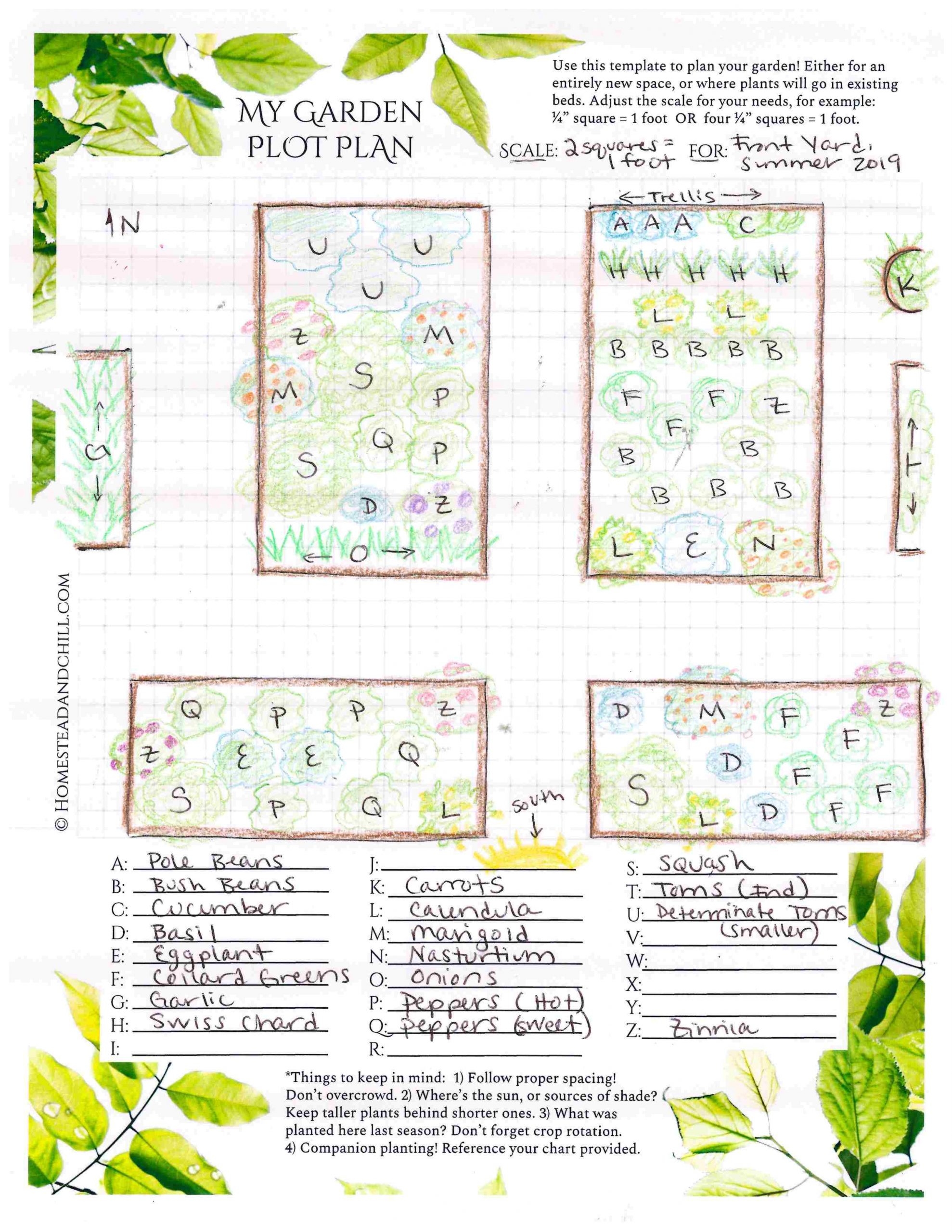 Printable Companion Planting Chart For Vegetables