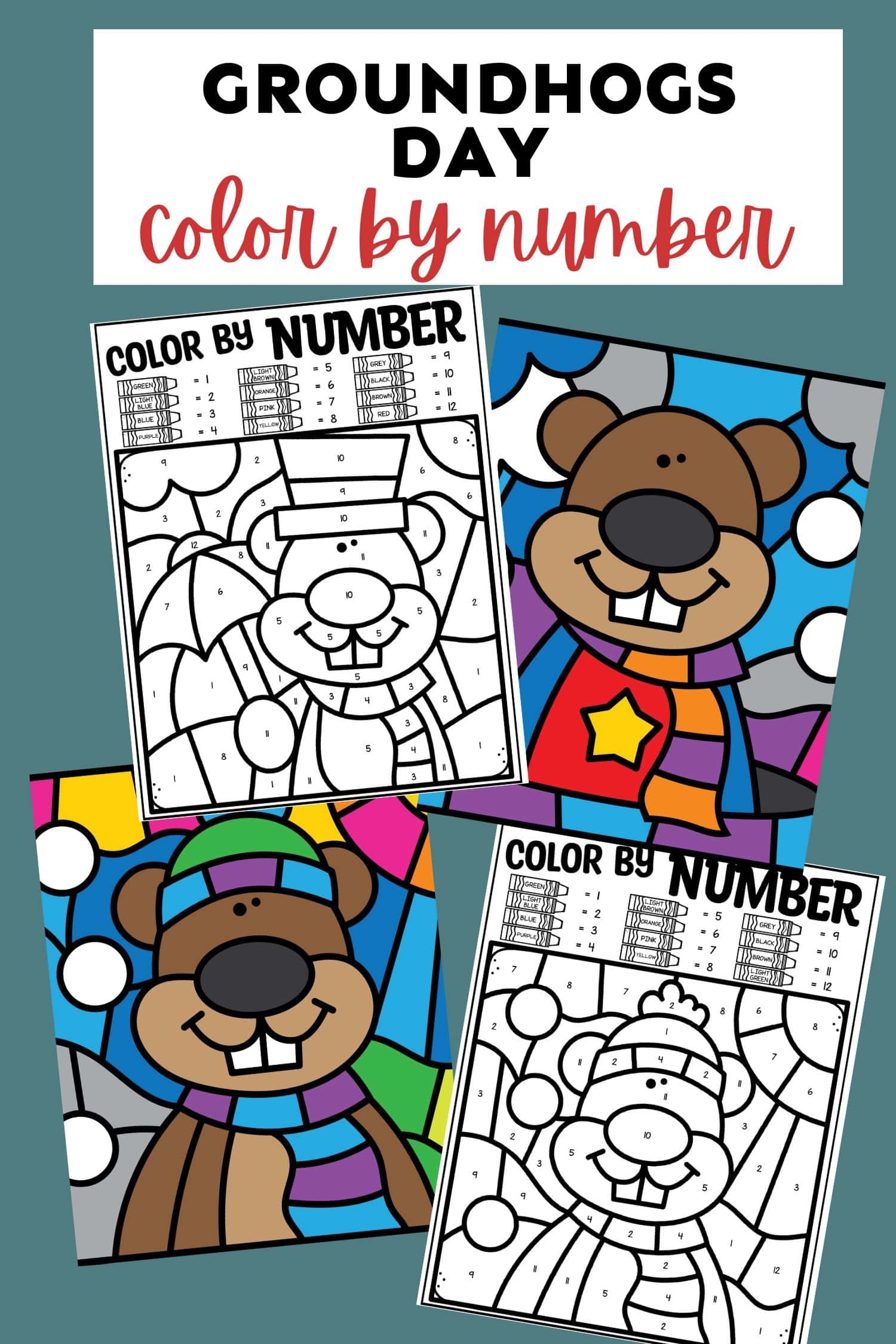 Groundhog Day Color By Number Pages Kids Activity Zone