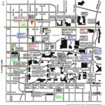 Handedness Research Institute Visiting The Institute