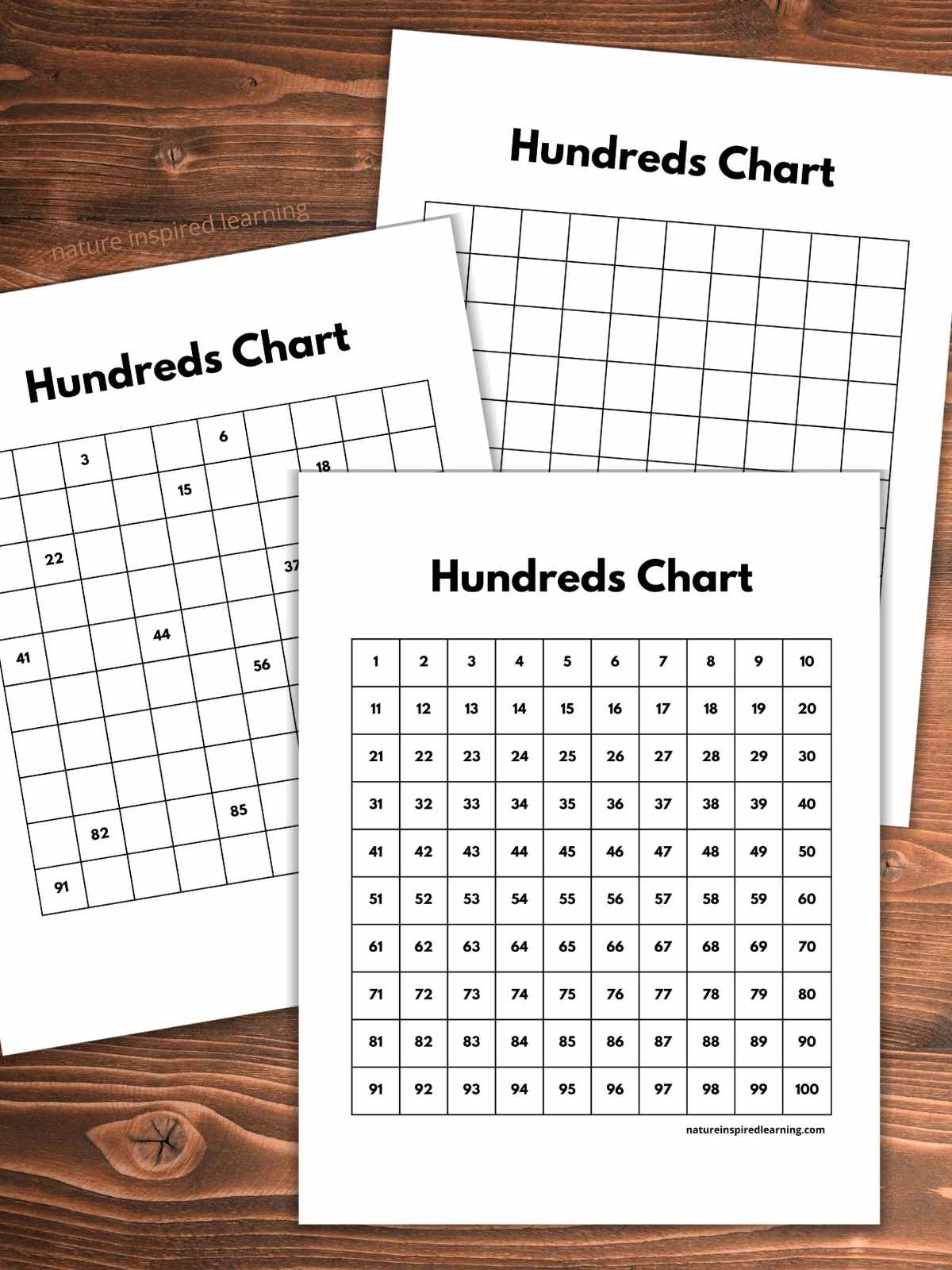 100's Chart Free Printable
