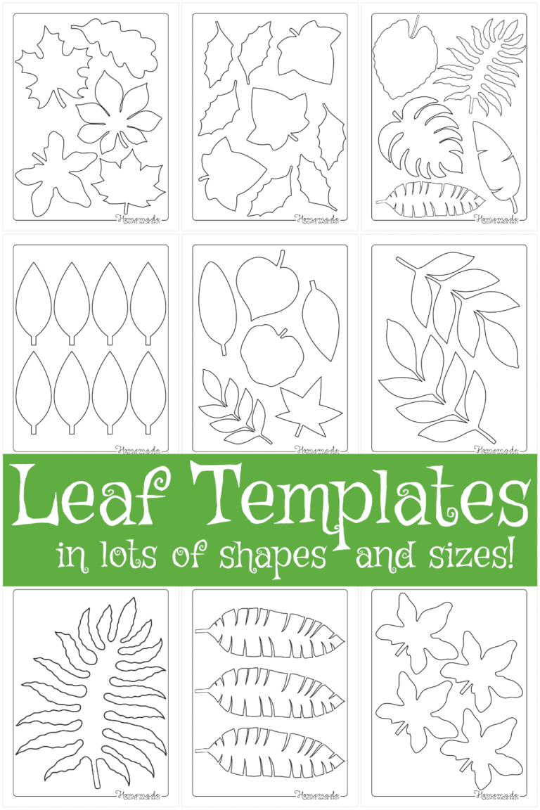 Leaf Template Free Printable Leaf Outlines For Kids