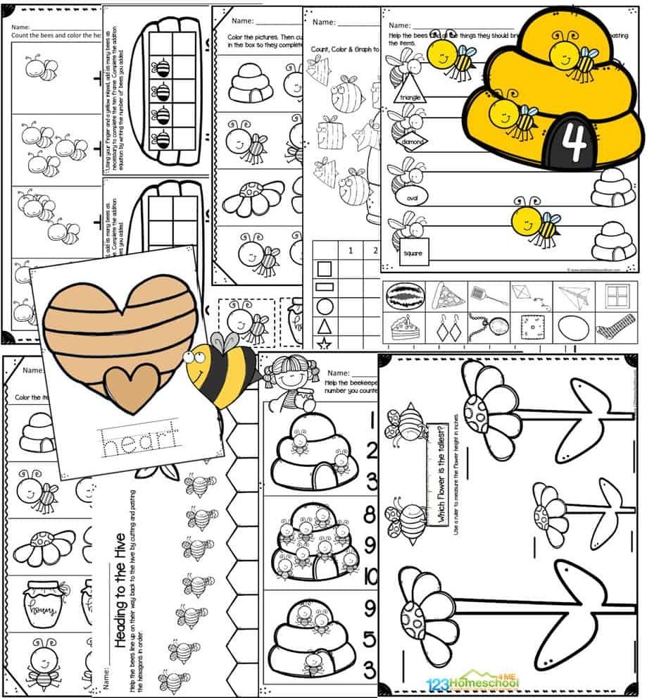 Letter B Weekly Theme