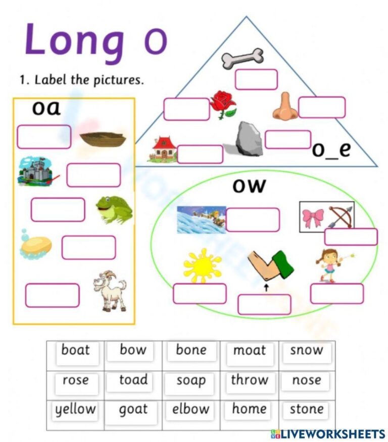 Long O Vowel Sound Phonics Worksheets Worksheets Library
