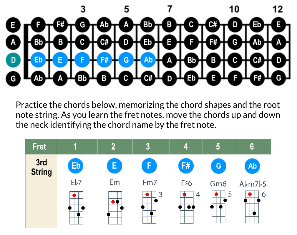 Mandolin Fretboard D 3rd String 1 6 Mandozine