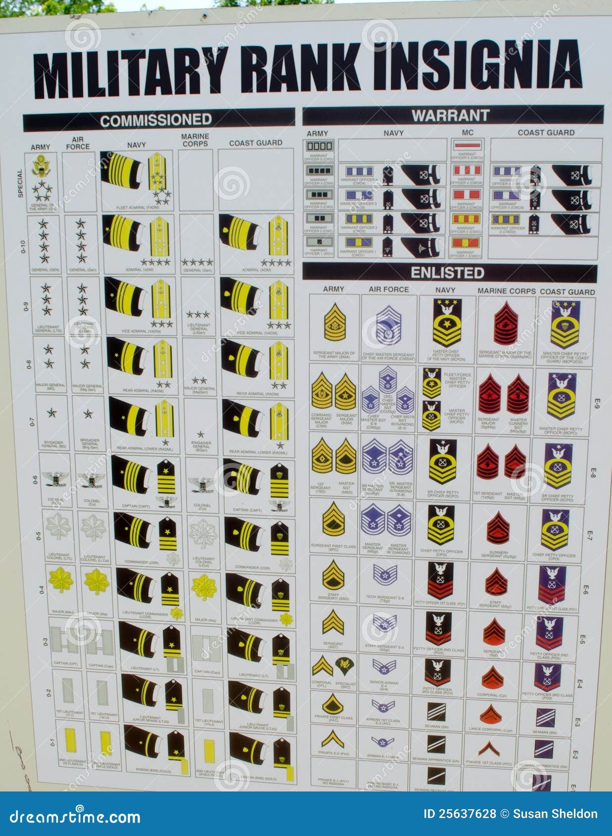 Military Rank Insignia Chart Editorial Stock Photo Image Of Rank Enlisted 25637628