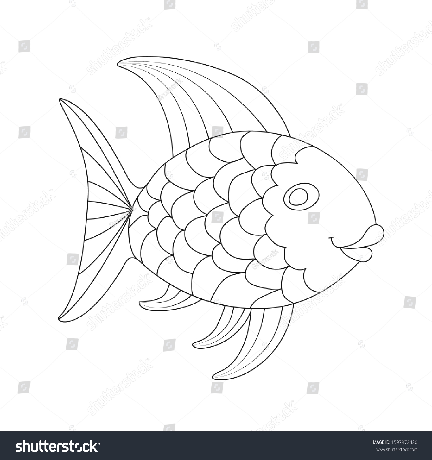 Neon Rainbowfish High quality Neon Rainbowfish High quality