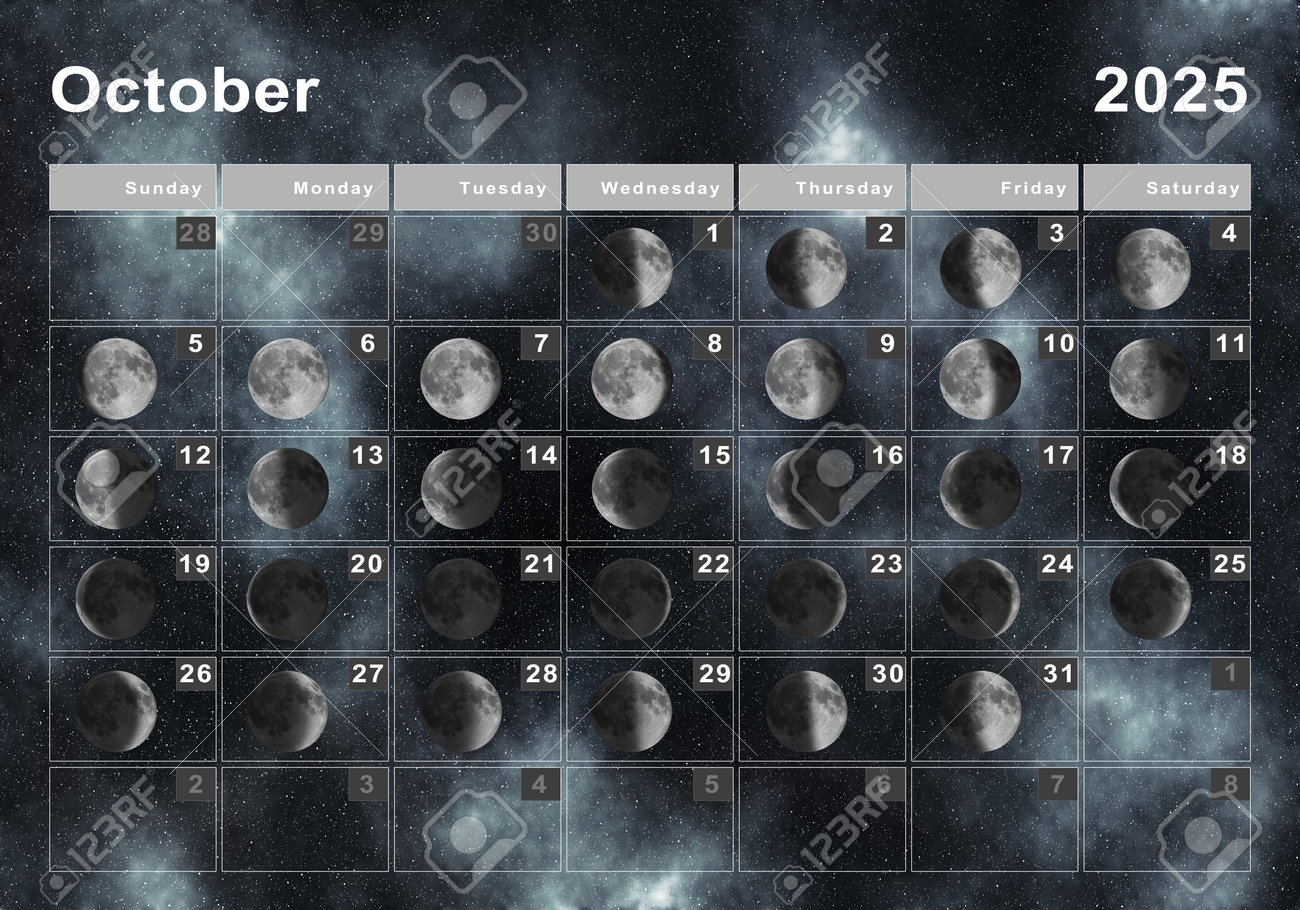 October 2025 Lunar Calendar Moon Cycles Moon Phases Stock Photo Picture And Royalty Free Image Image 193083973 