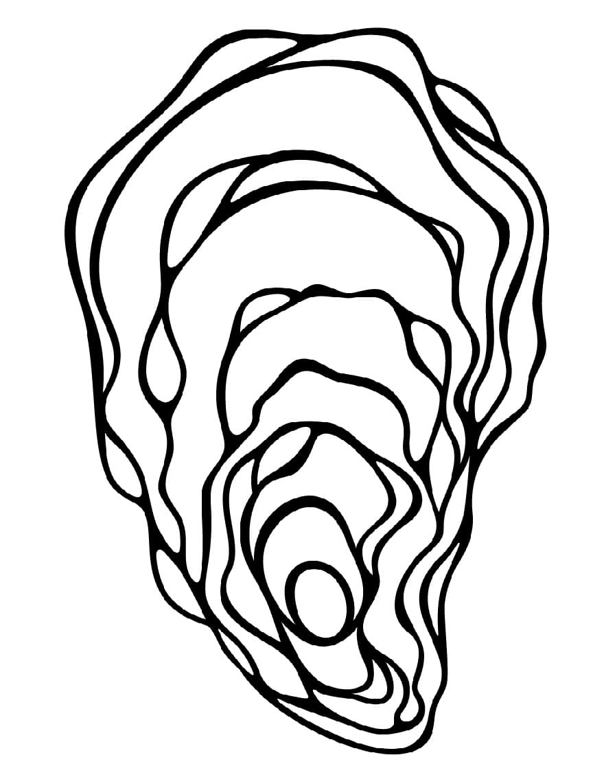 Oyster Printable Coloring Page Download Print Or Color Online For Free