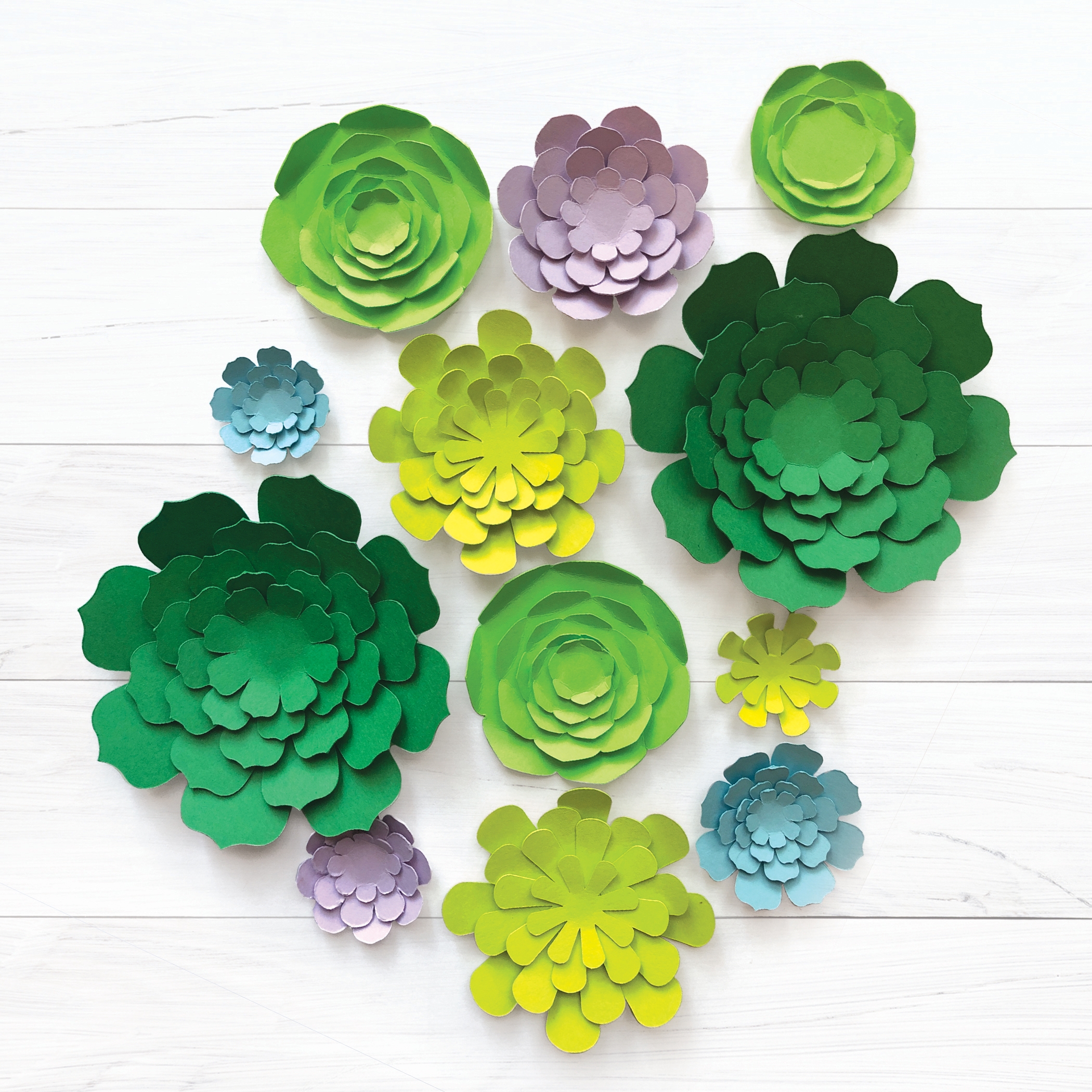 Paper Succulents SVG Pack Paris Corporation