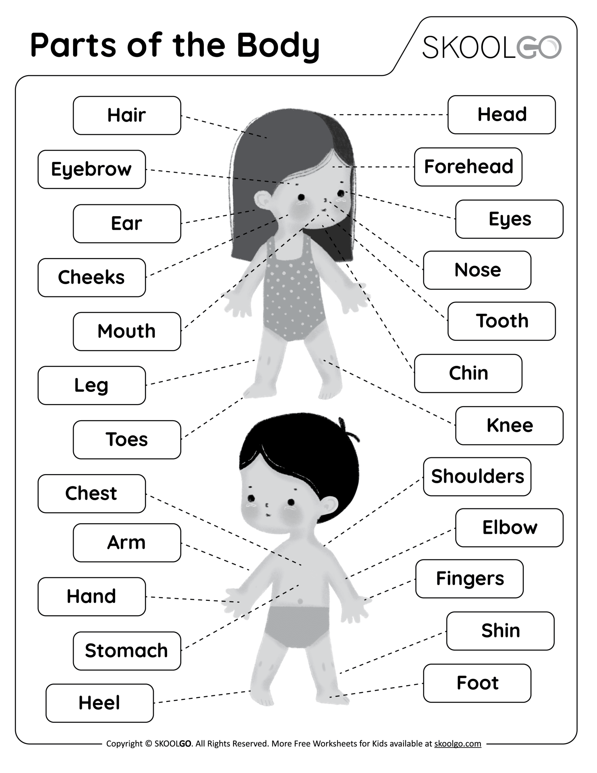 Parts Of The Body Free Worksheet SKOOLGO Worksheets Library Parts Of The Body Free Worksheet SKOOLGO Worksheets Library
