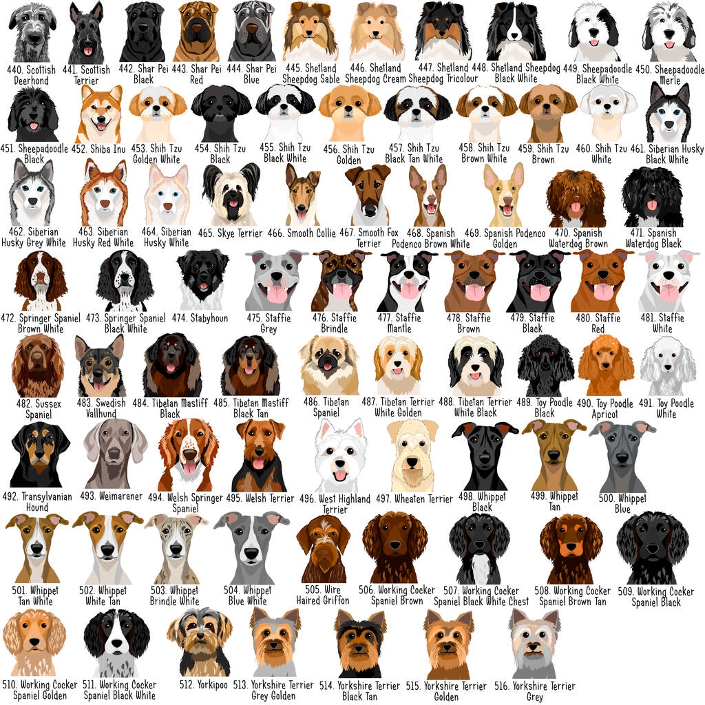 Pdf Akc Breed Chart Puppy Data Sheet Form Fill Online Printable Fillable Blank Pdf Akc Breed Chart Puppy Data Sheet Form Fill Online Printable Fillable Blank